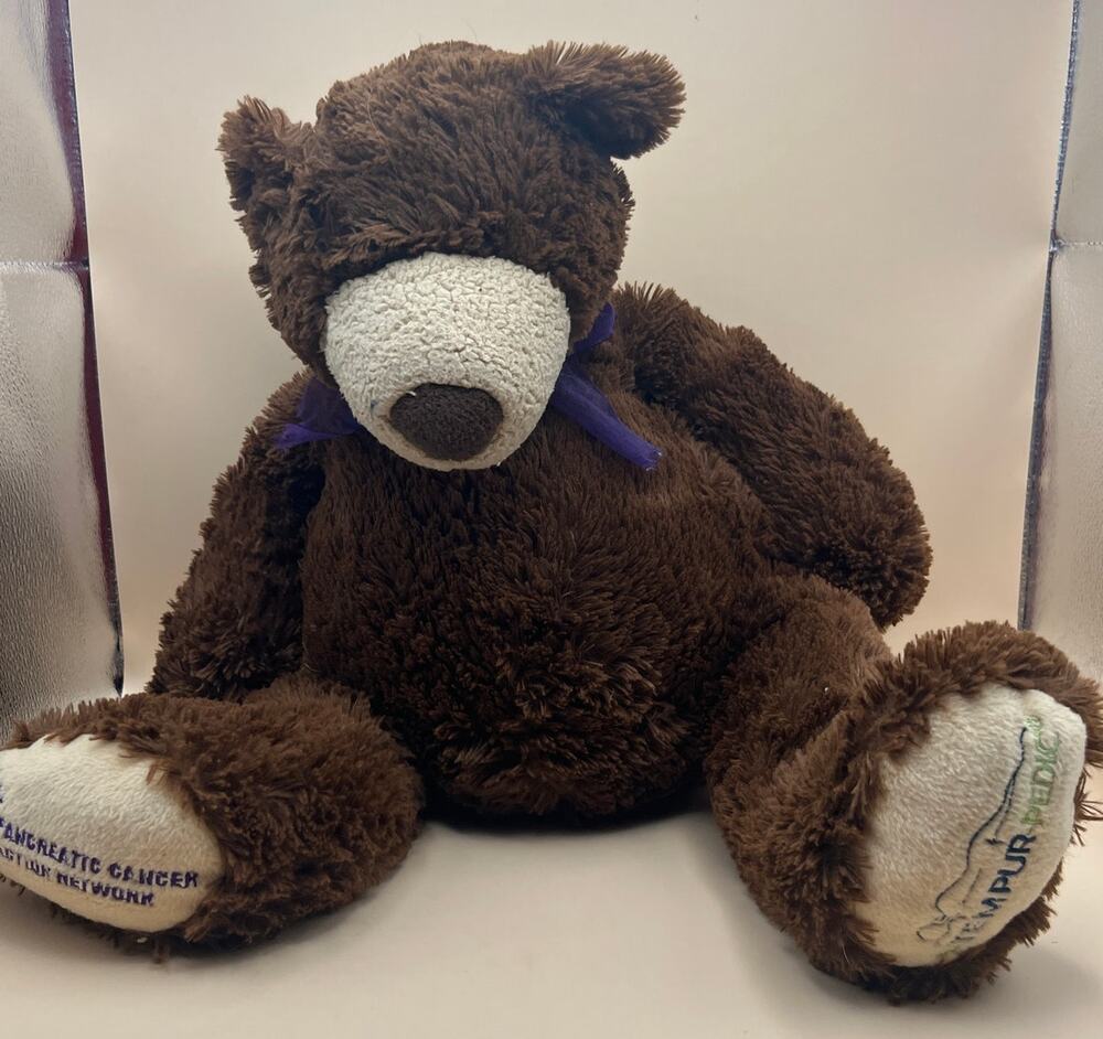 Tempur-Pedic Pancreatic Cancer Action Network Teddy Bear Plush Brown Purple Bow